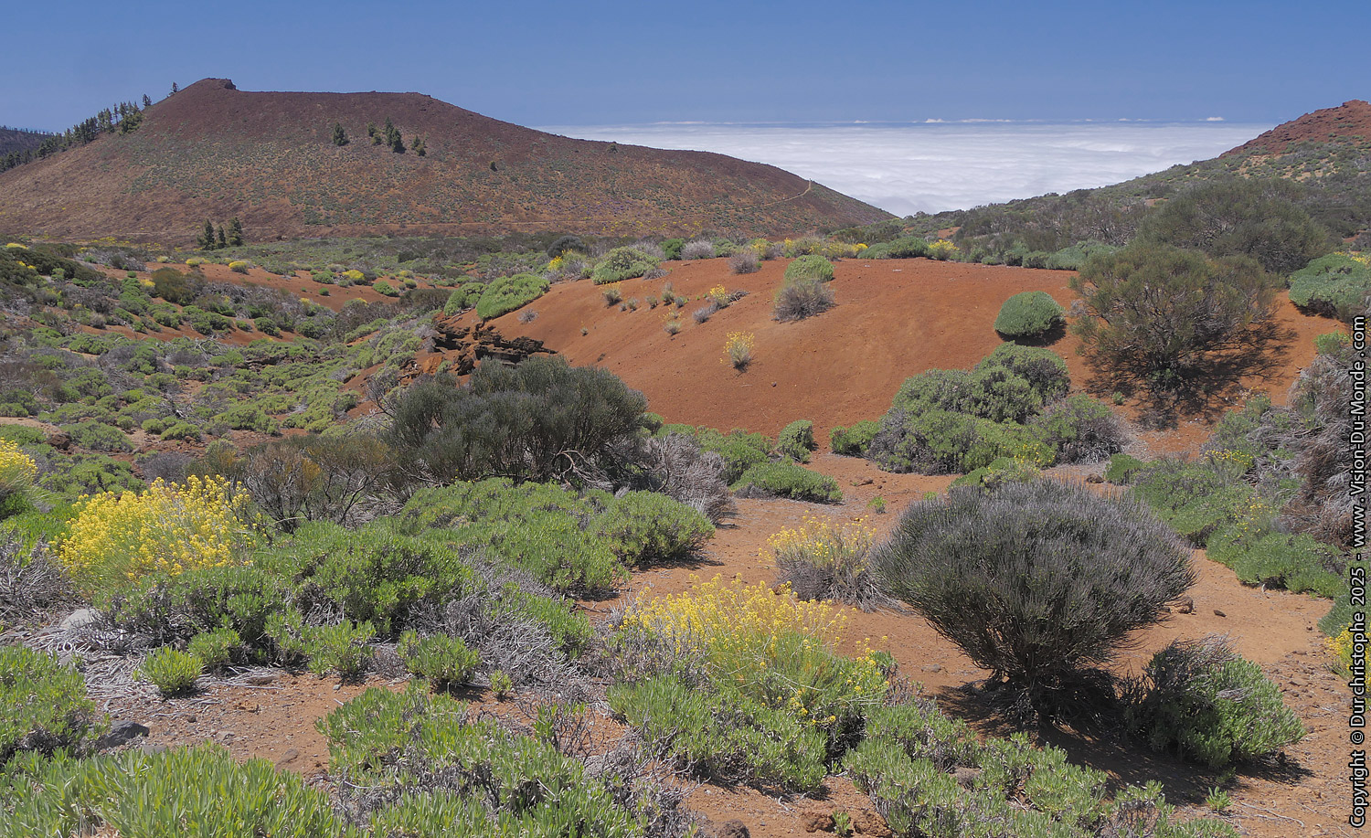Parc National Teide - 2025