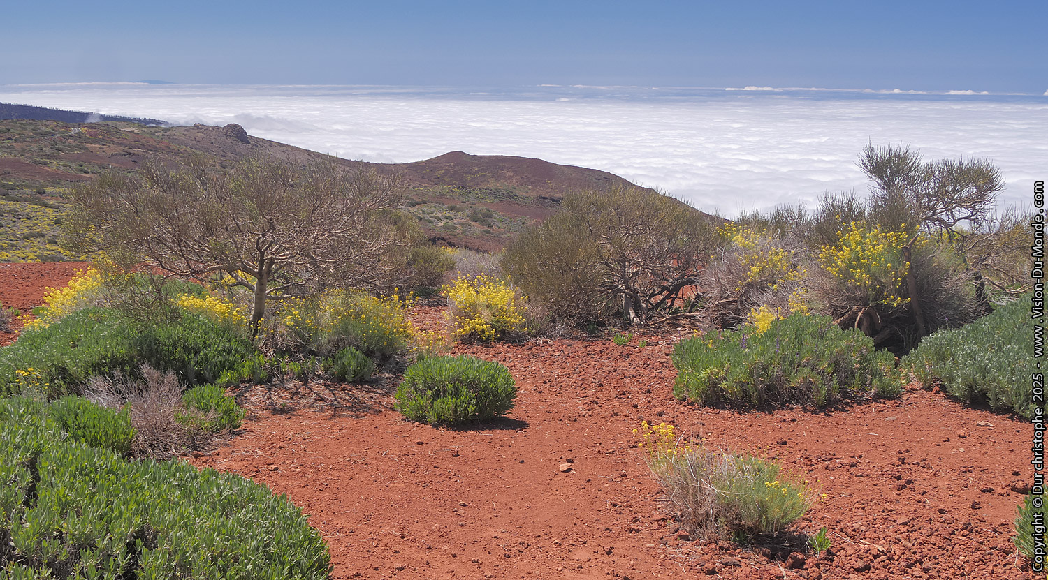 Parc National Teide - 2025