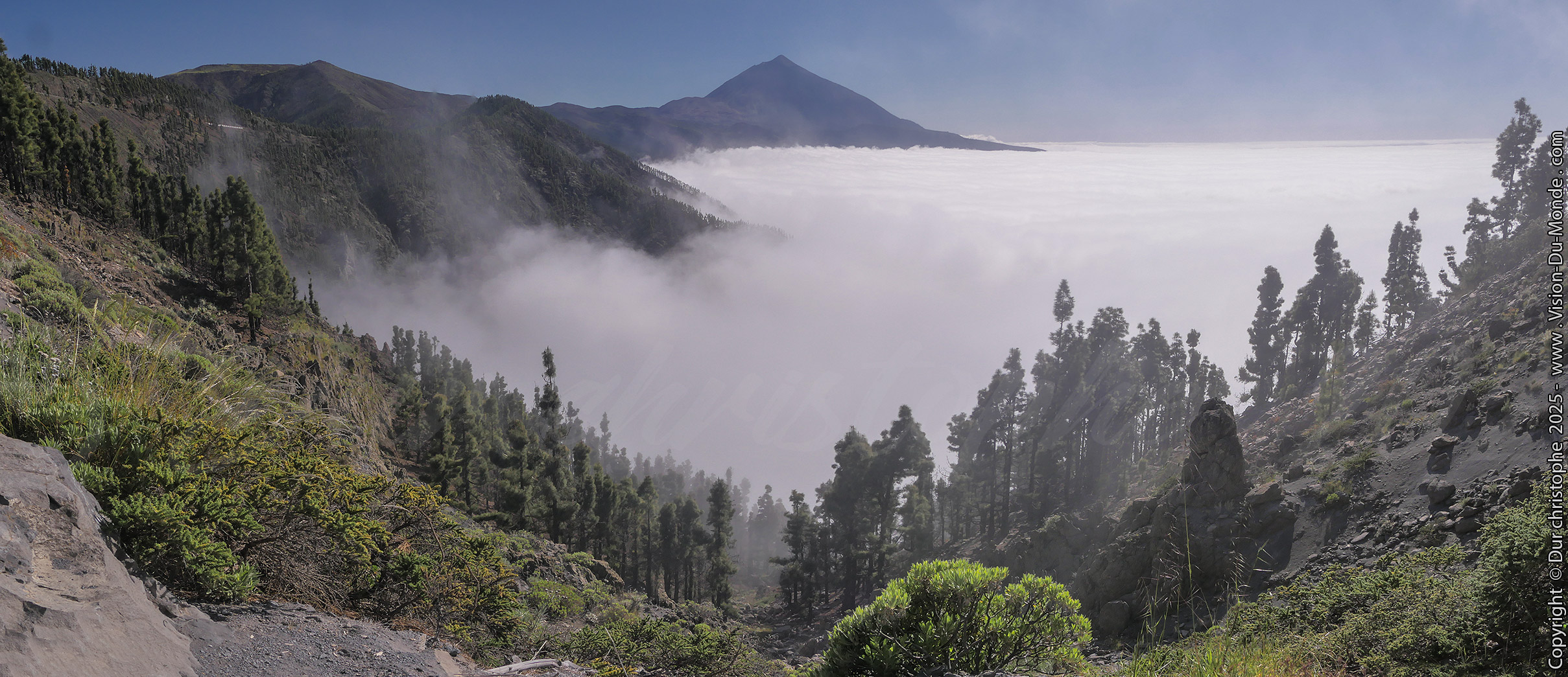 Parc National Teide - 2025