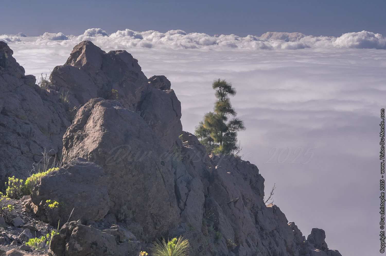 Parc National Teide - 2025