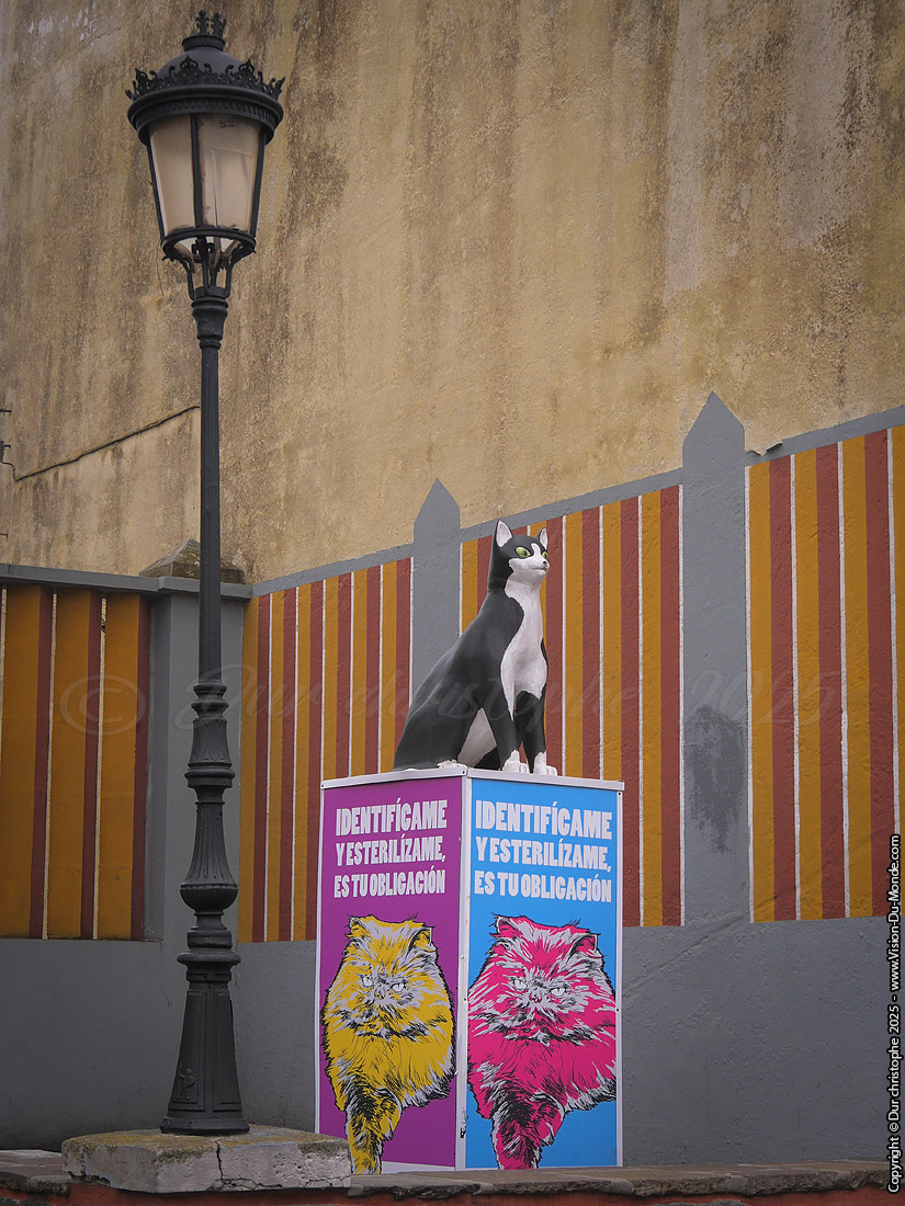 San Cristóbal de La Laguna - 2025