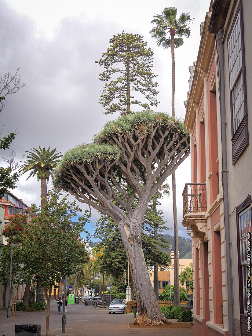 San Cristóbal de La Laguna - 2025