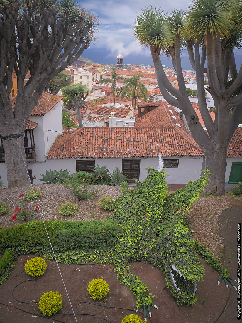 La Orotava - 2025