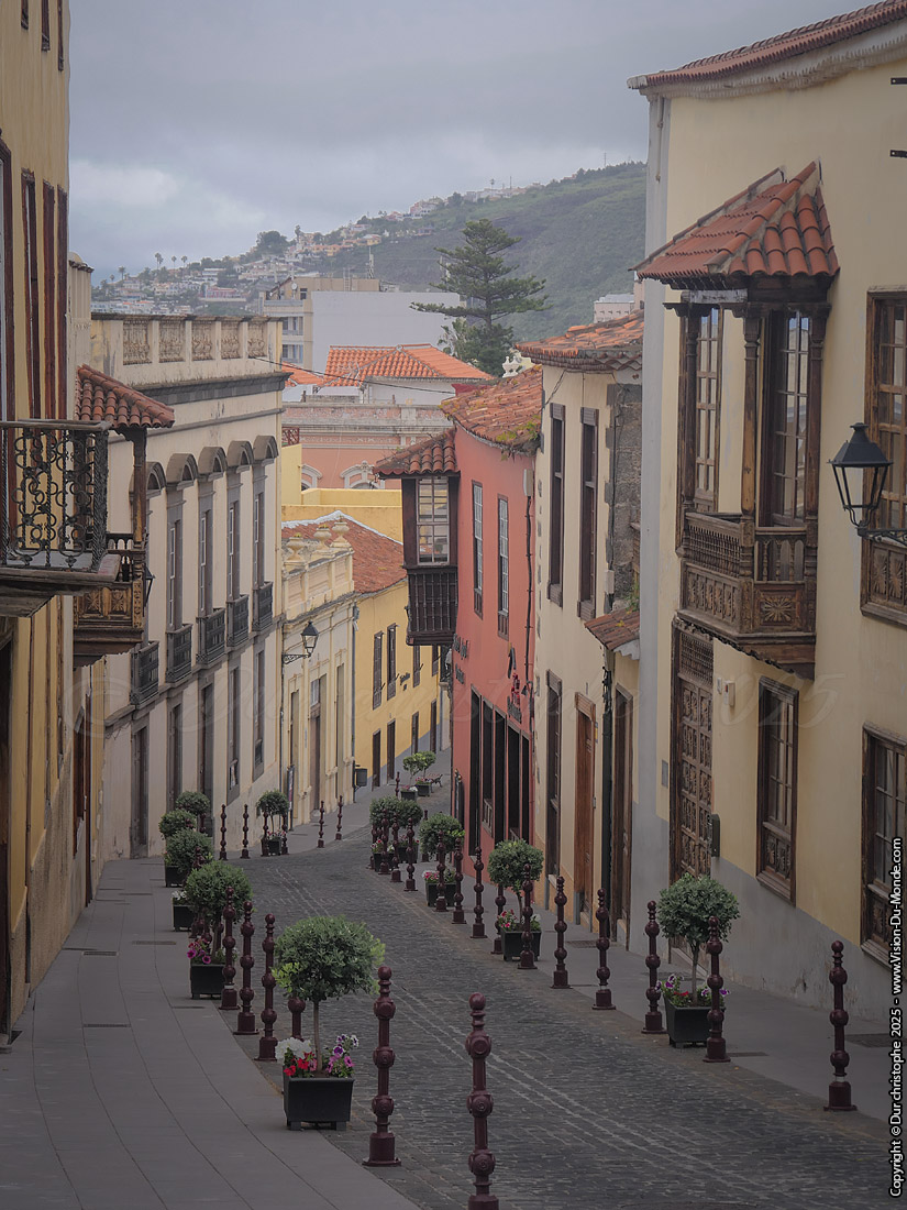 La Orotava - 2025
