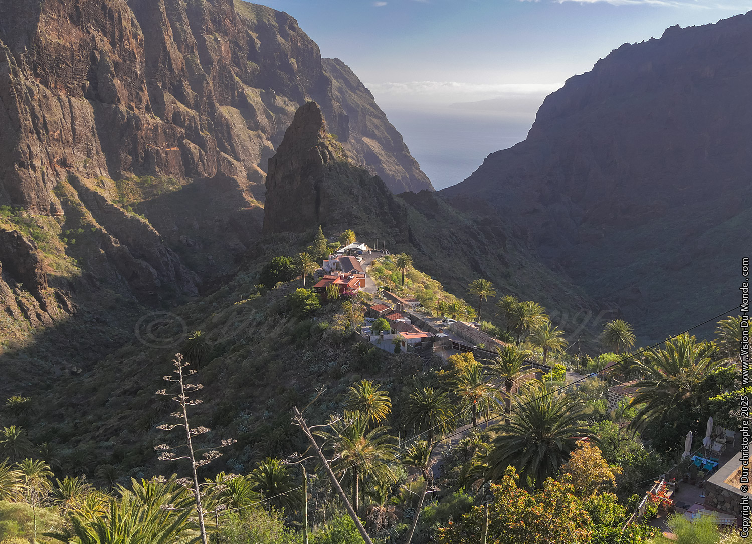 ILE DE TENERIFE - 2025