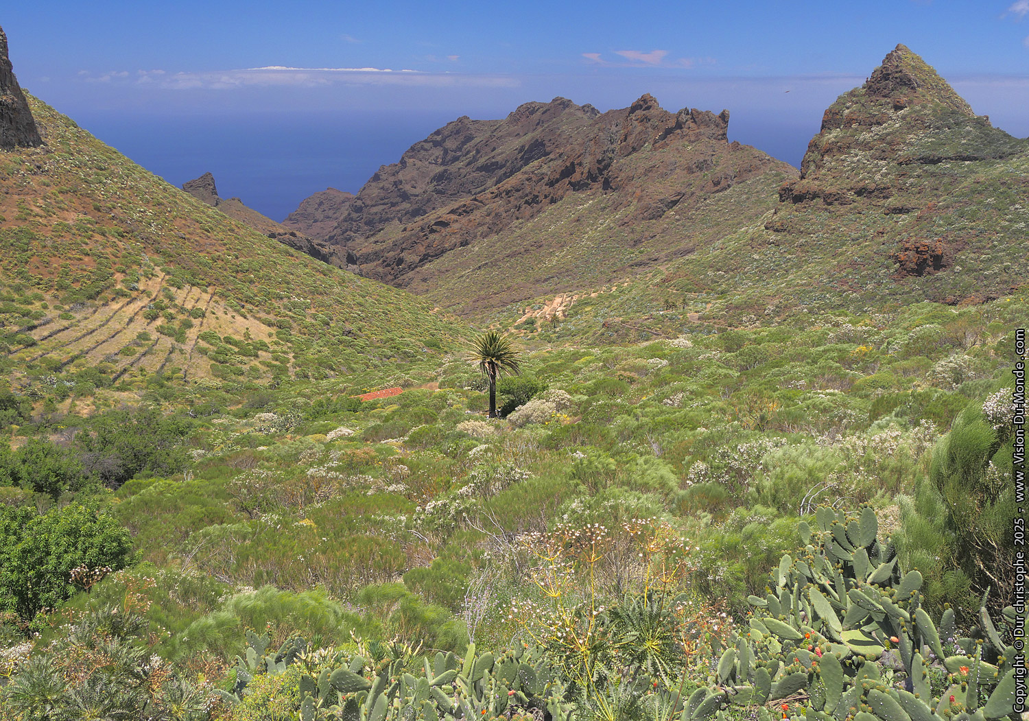 Parque Rural de Teno - 2025