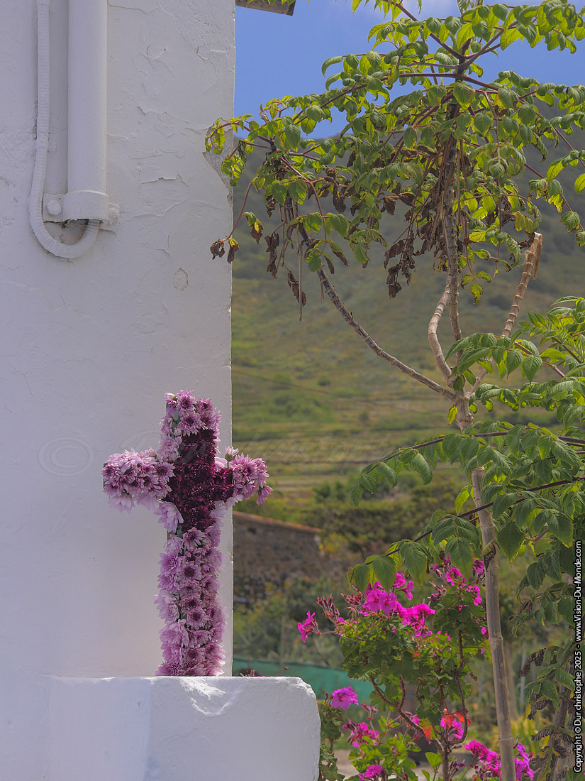 El Palmar- Parque Rural de Teno - 2025