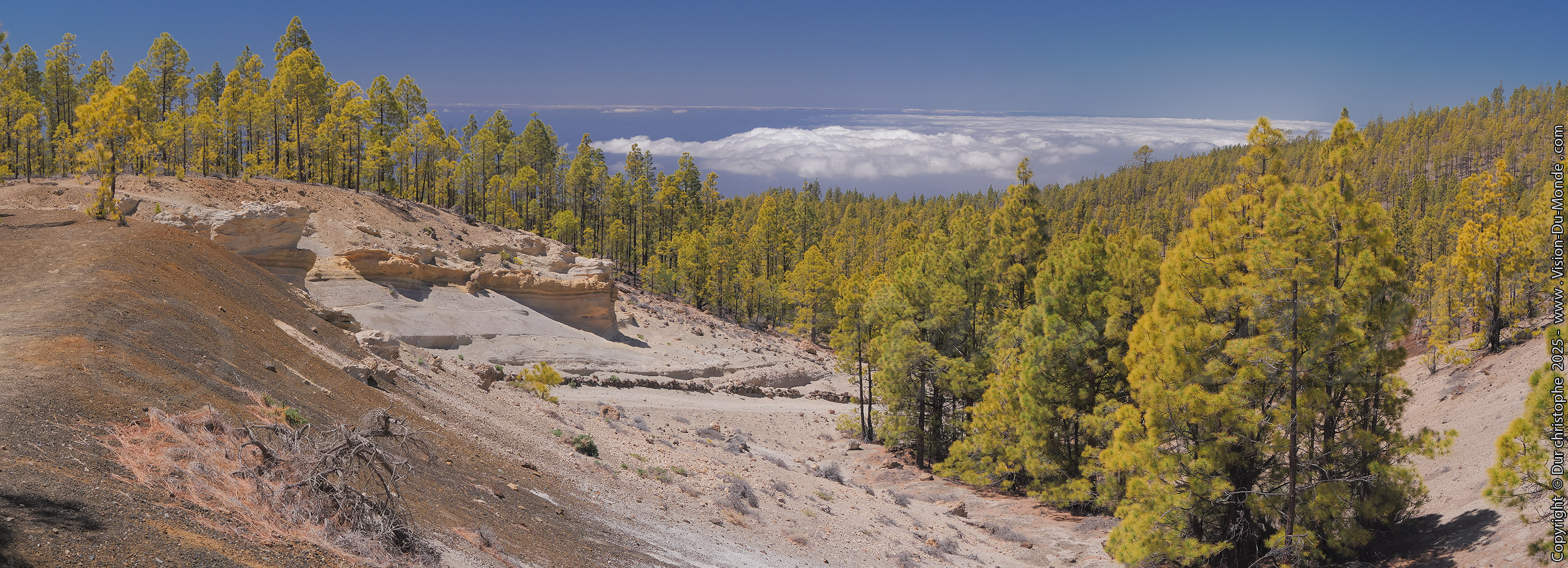 Paisaje Lunar - Vilaflor - 2025