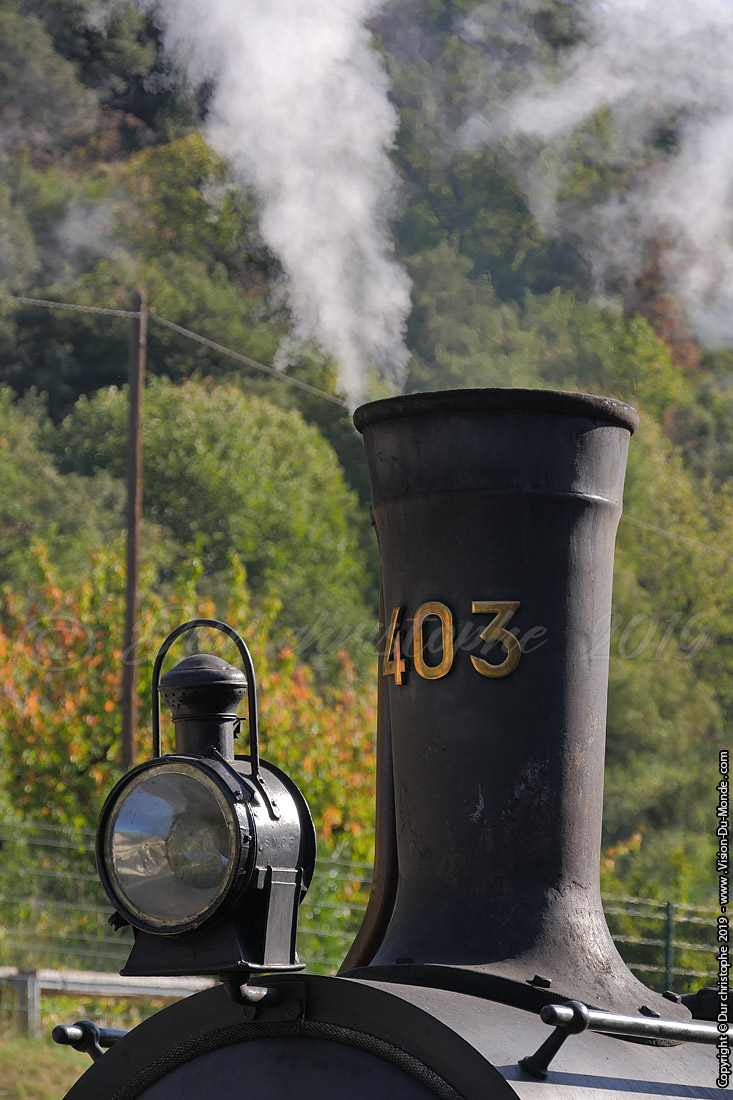 Train vapeur le Mastrou