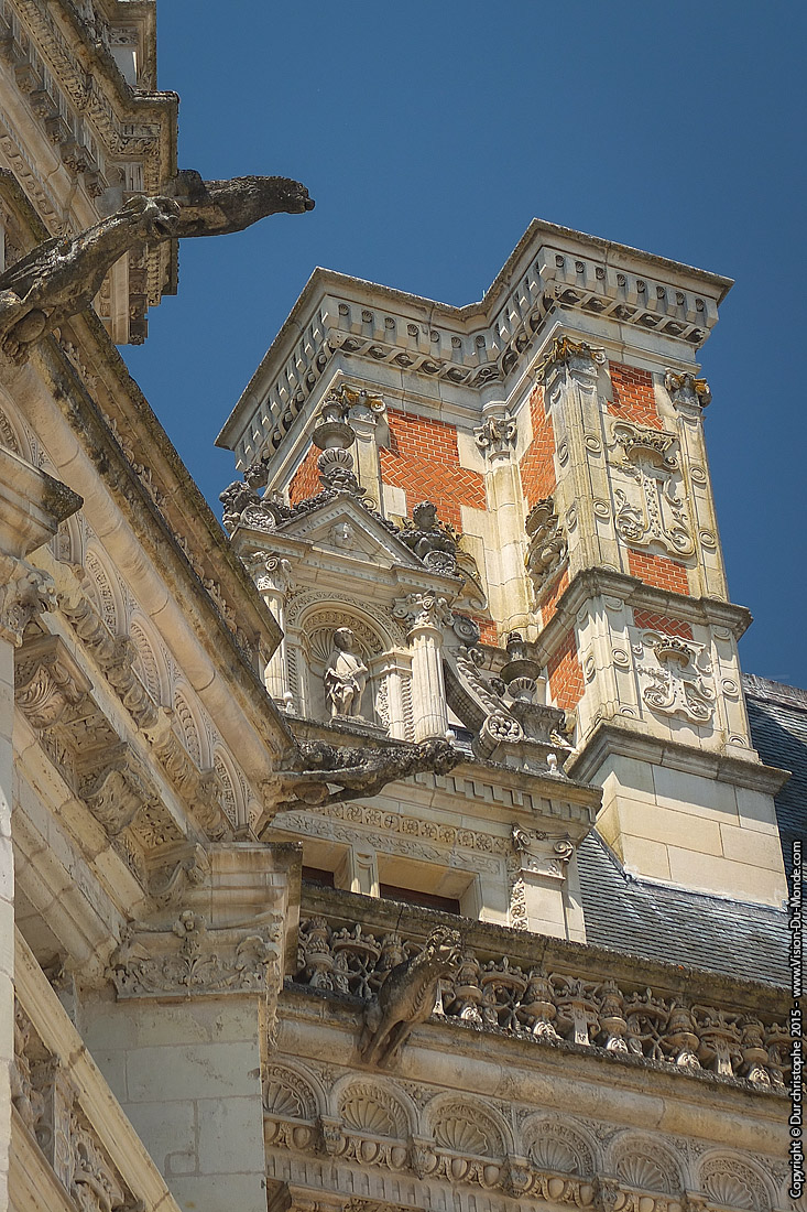 Château de Blois - 2015