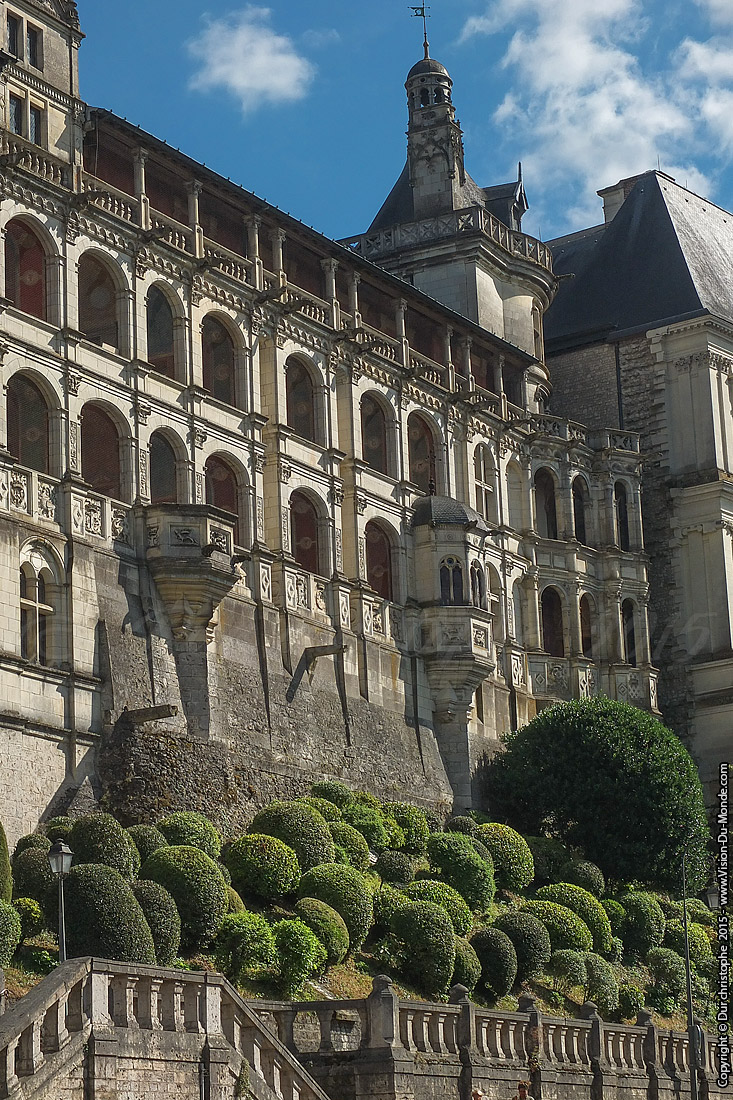 Château de Blois - 2015