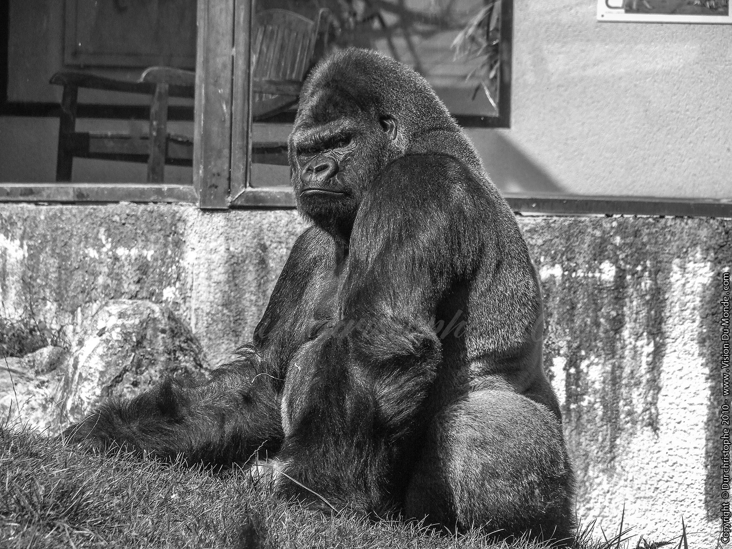 Zoo Beauval - 2010