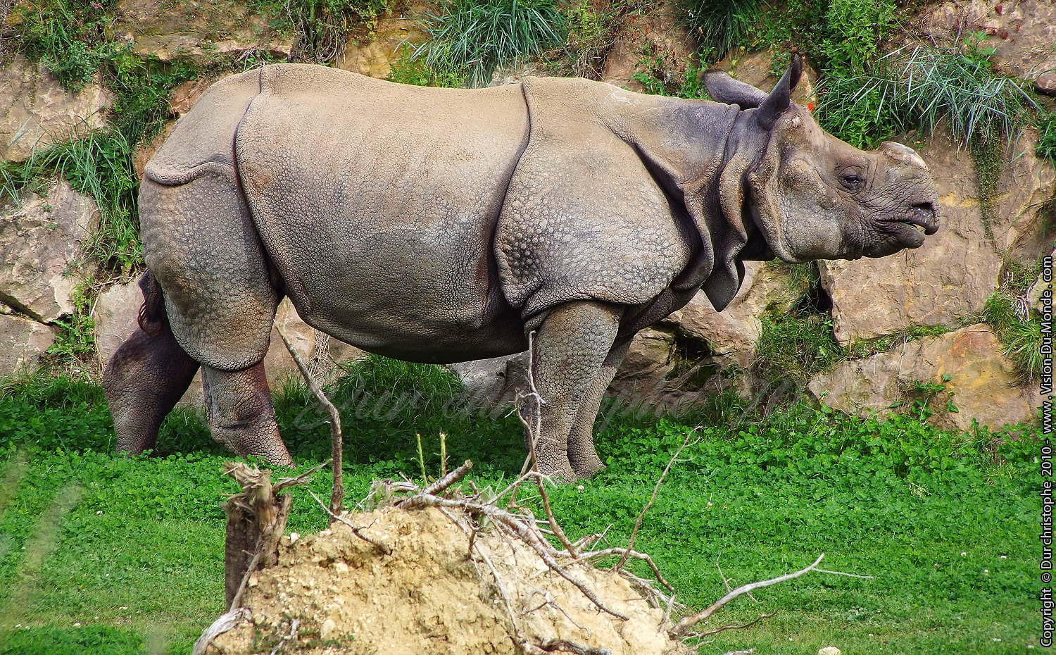 Zoo Beauval - 2010