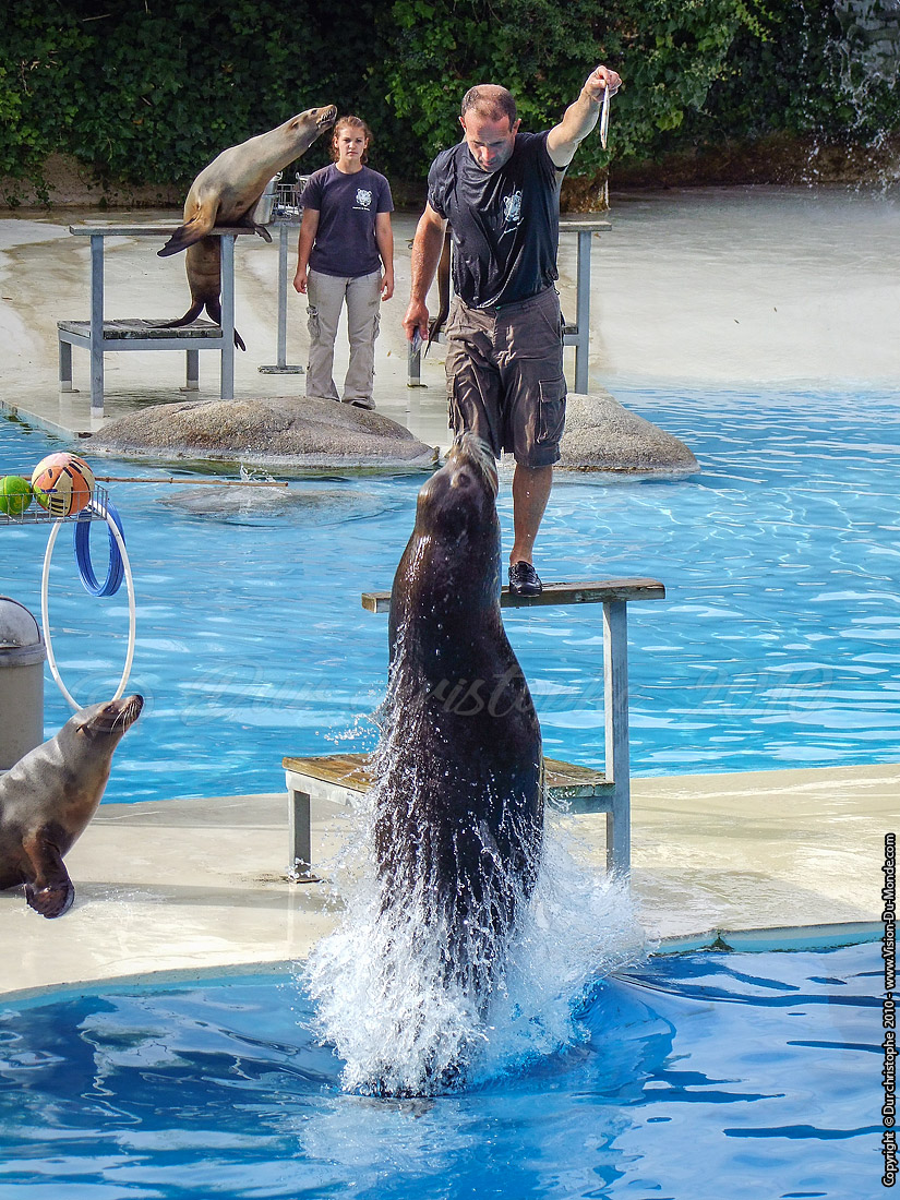 Zoo Beauval - 2010