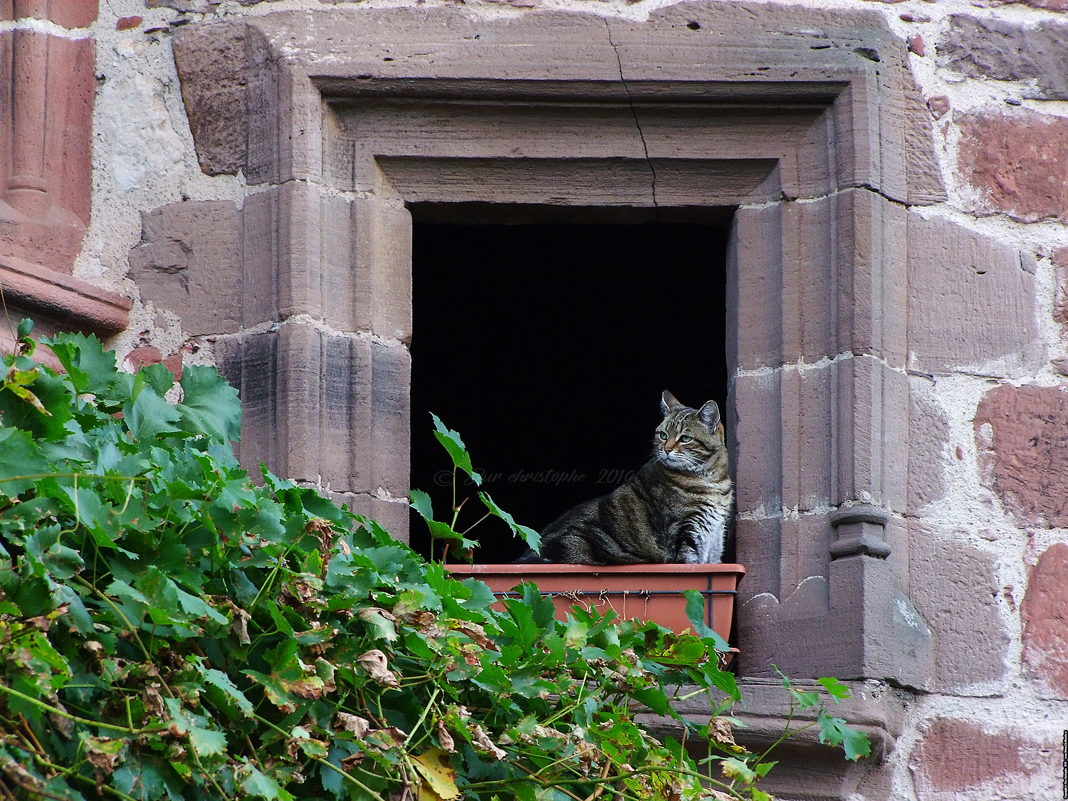 Collonges la rouge