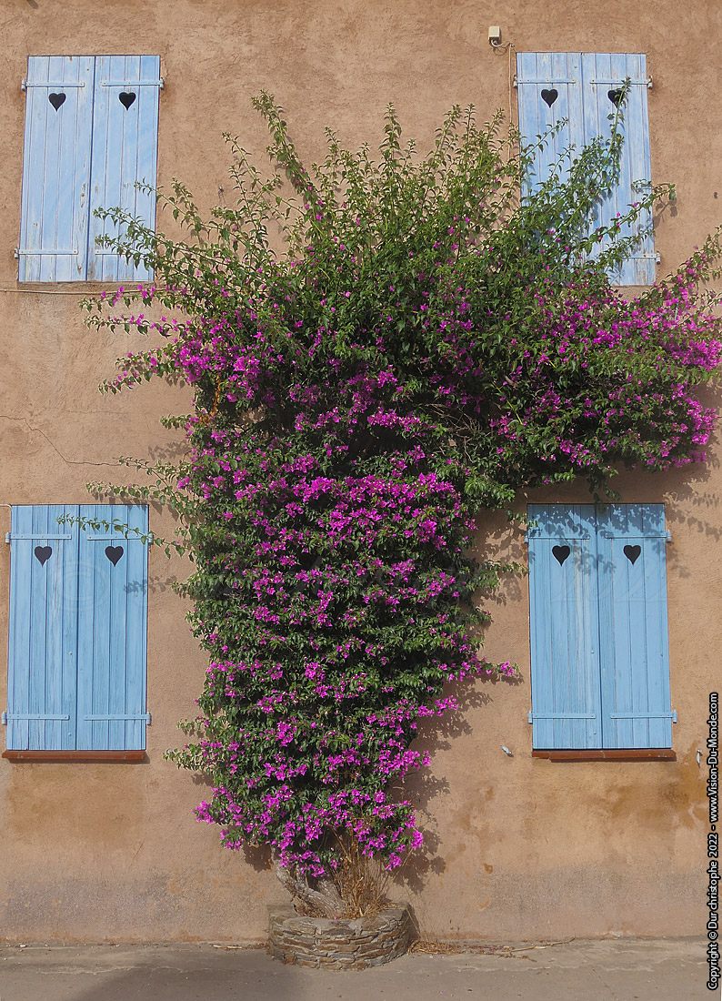 Ile de Porquerolles - 2022