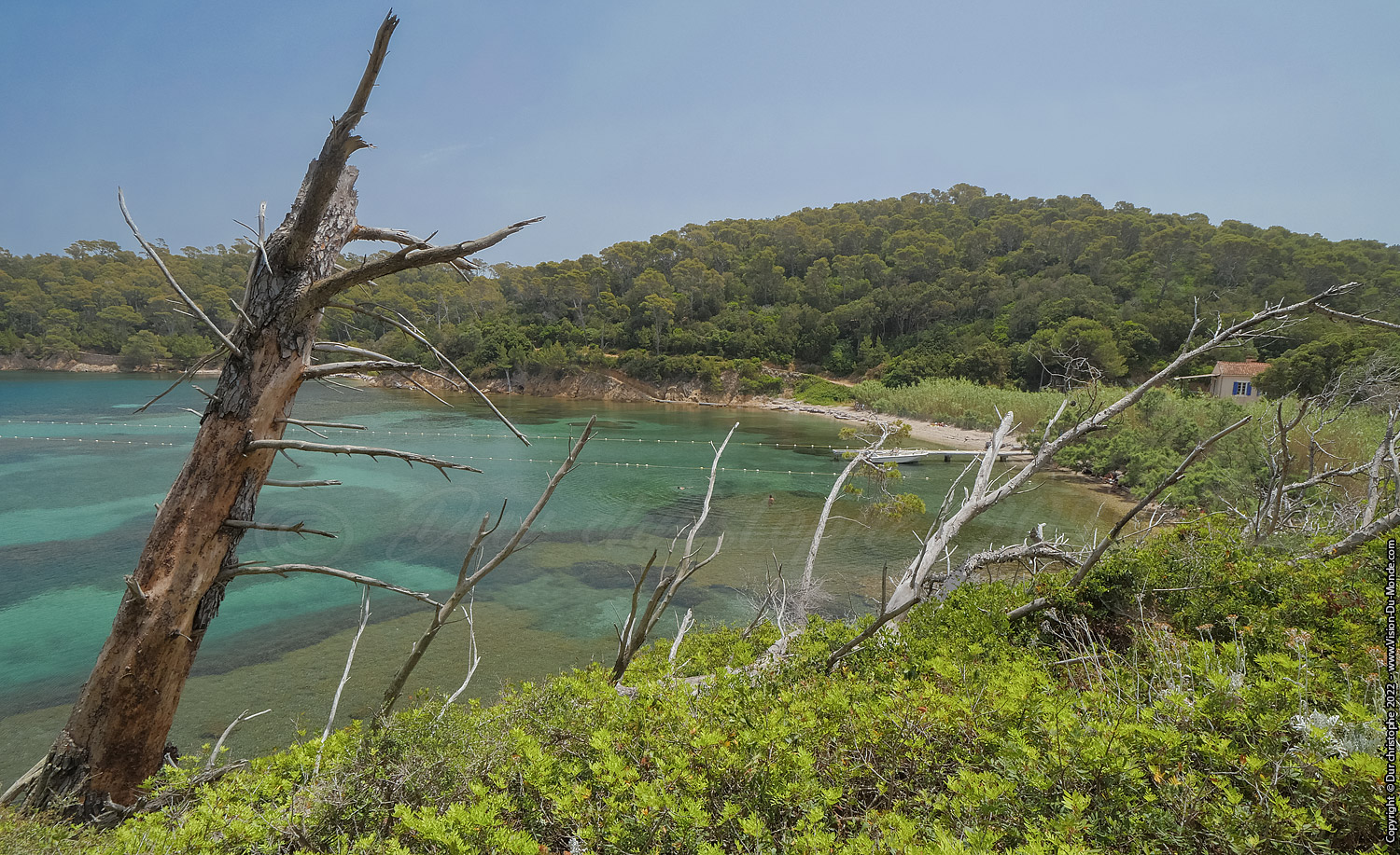 Iles de Port Cros - 2022