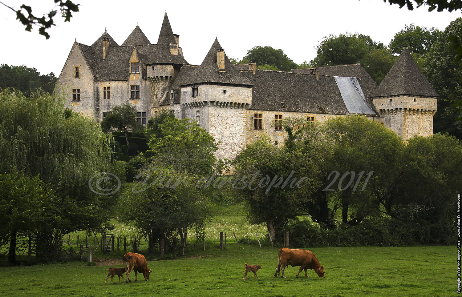Château - Dordogne