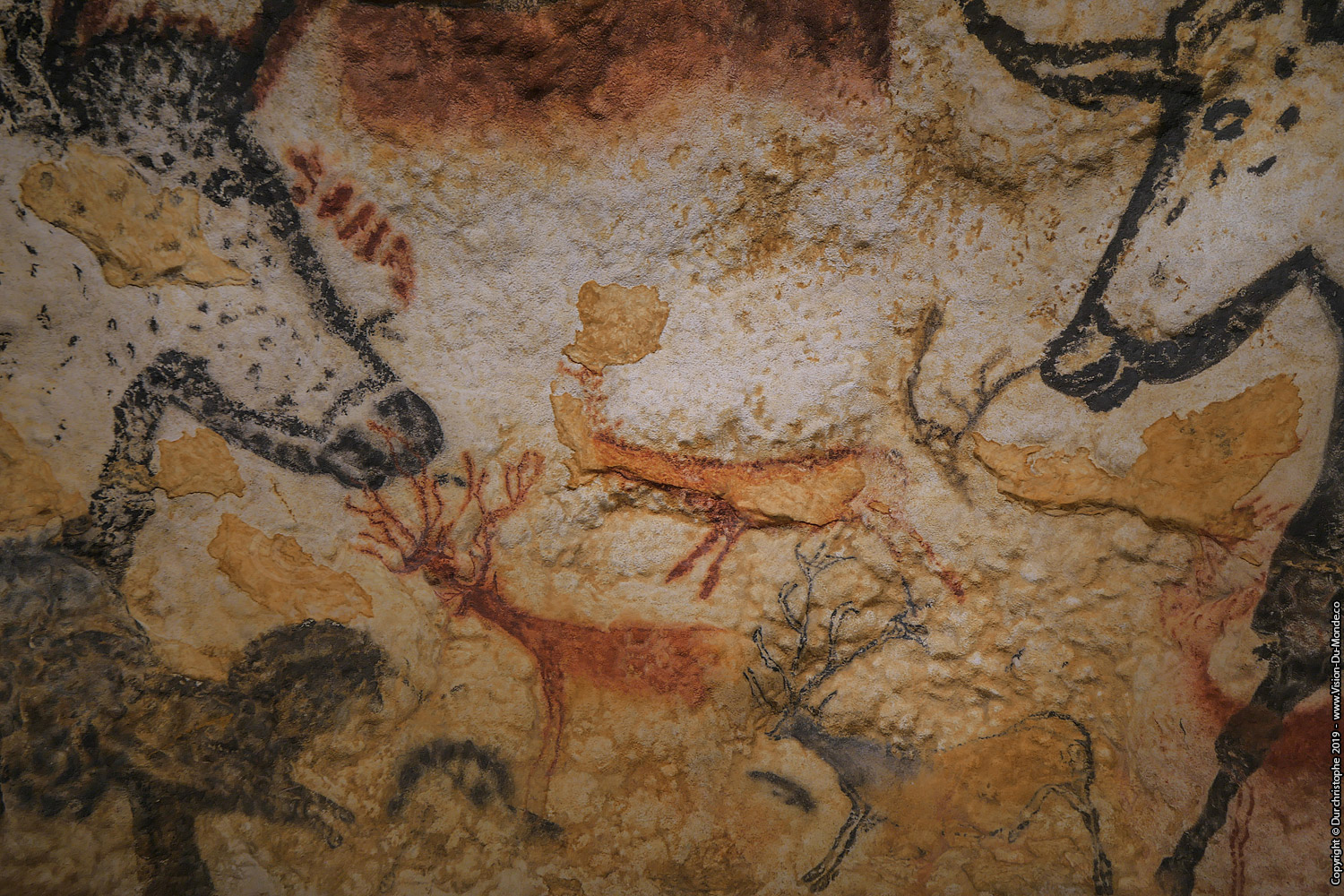 Grotte de Lascaux