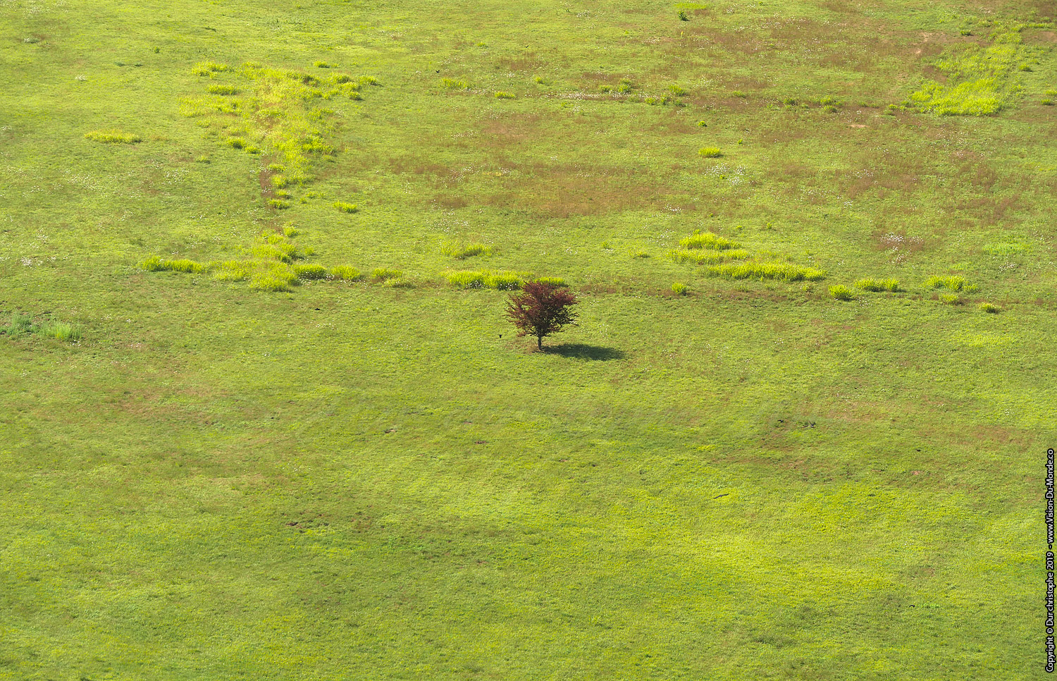 Le solitaire ...