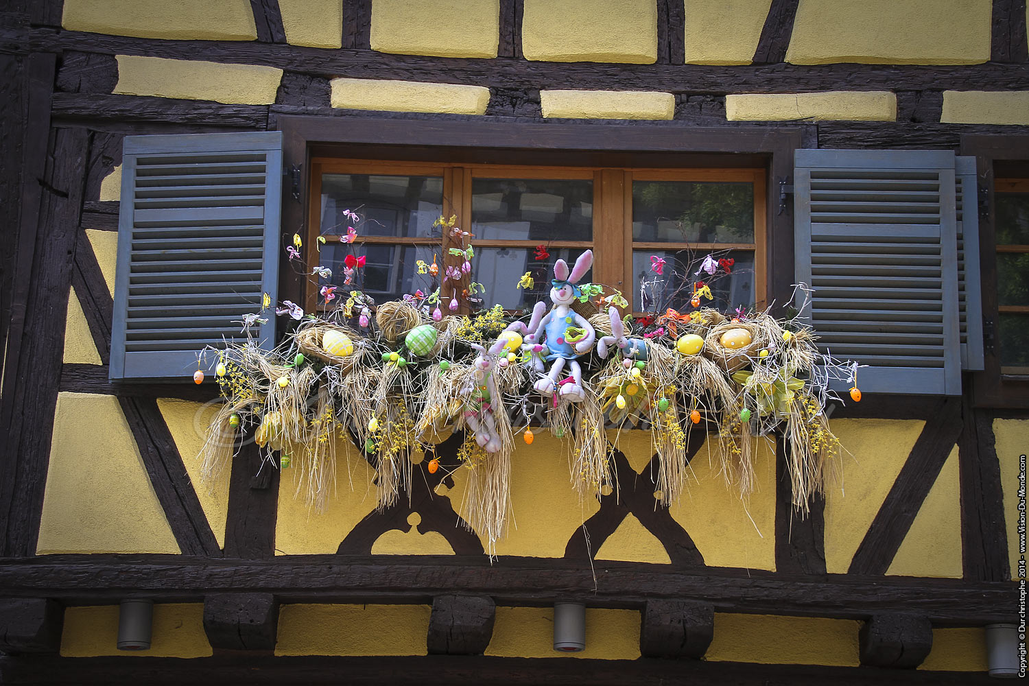 Colmar