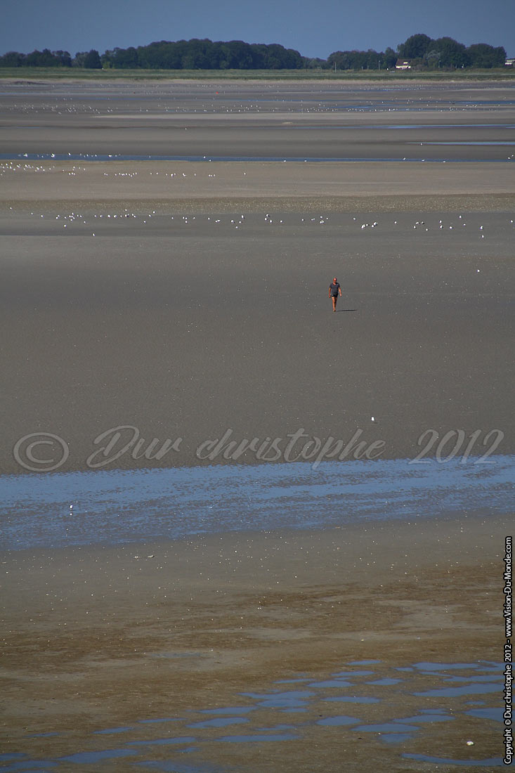 Baie de Somme