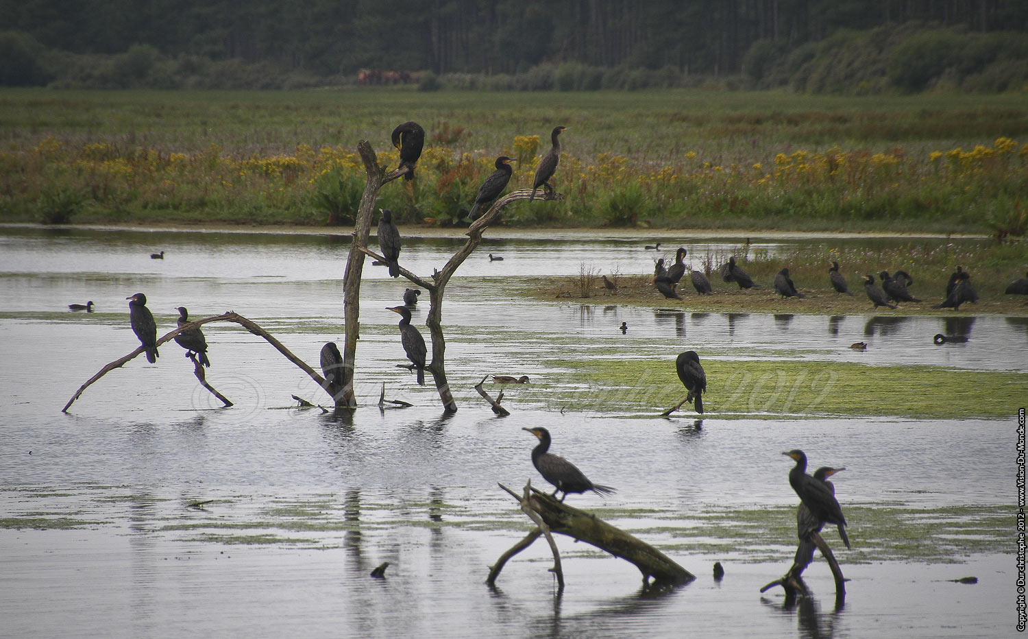 Parc Du Marquenterre