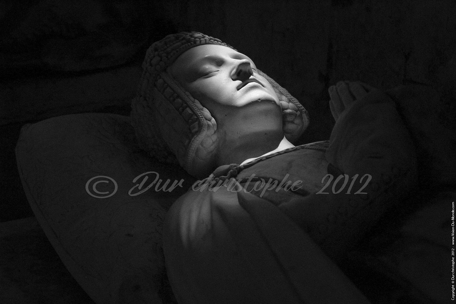 Château de Pierrefonds - 2012