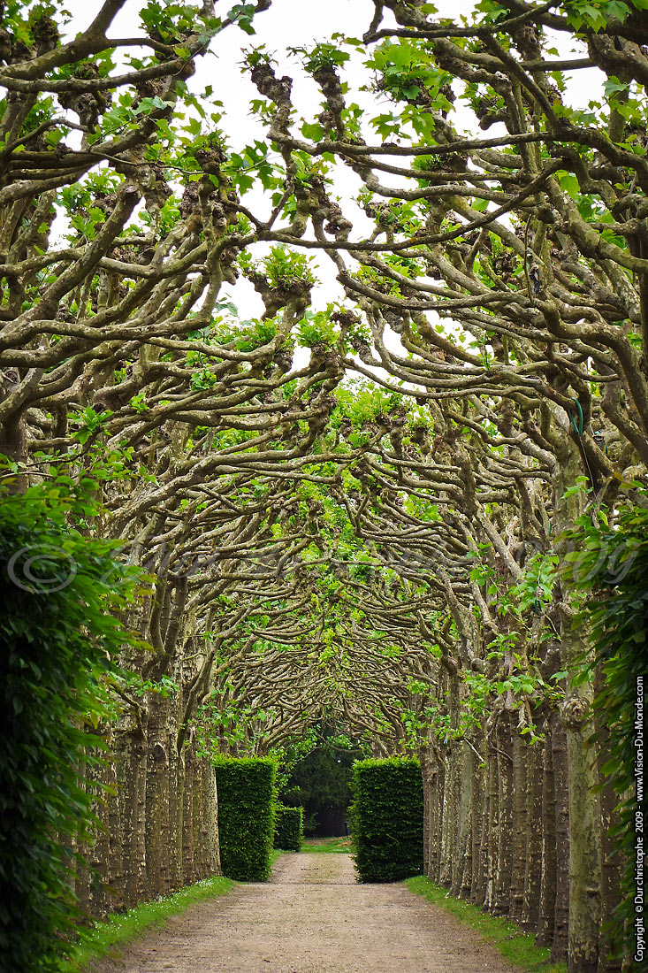 Château de Groussay - 2009