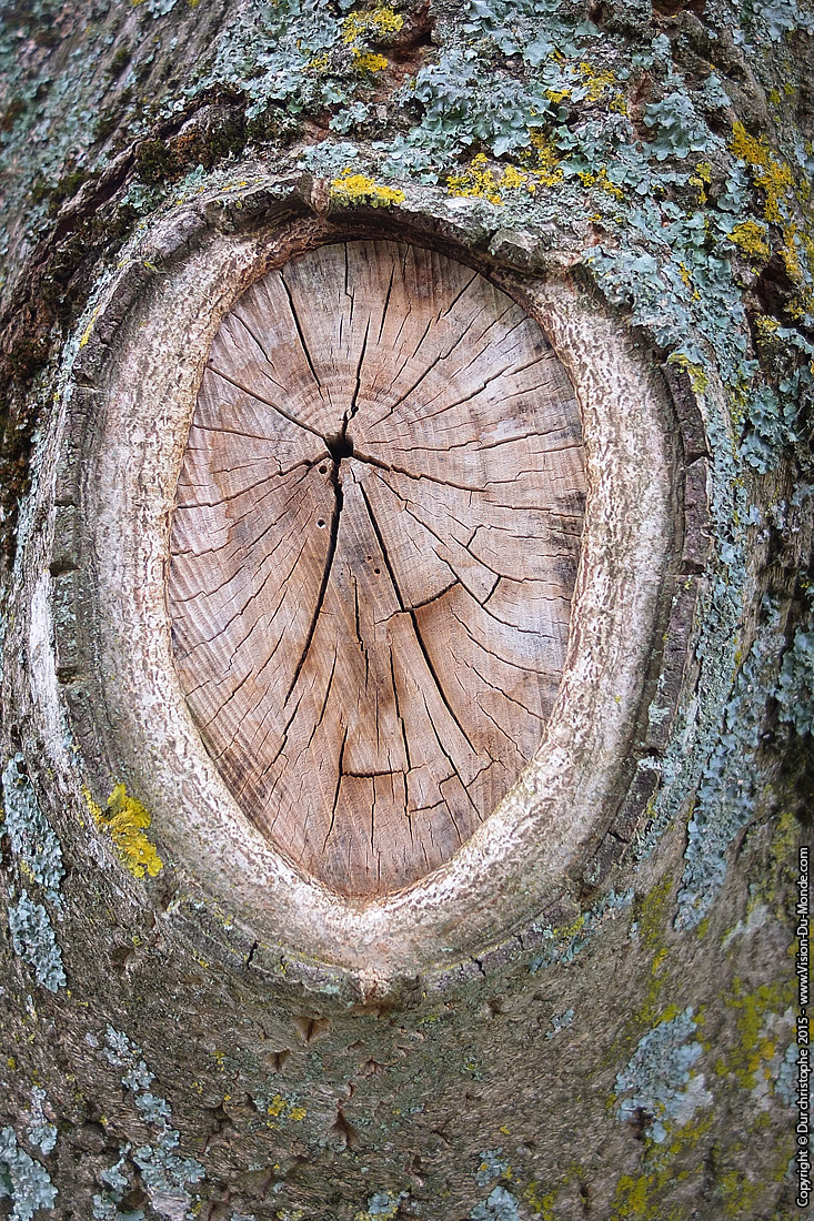 Parc Naturel Regional du Perche  - 2015
