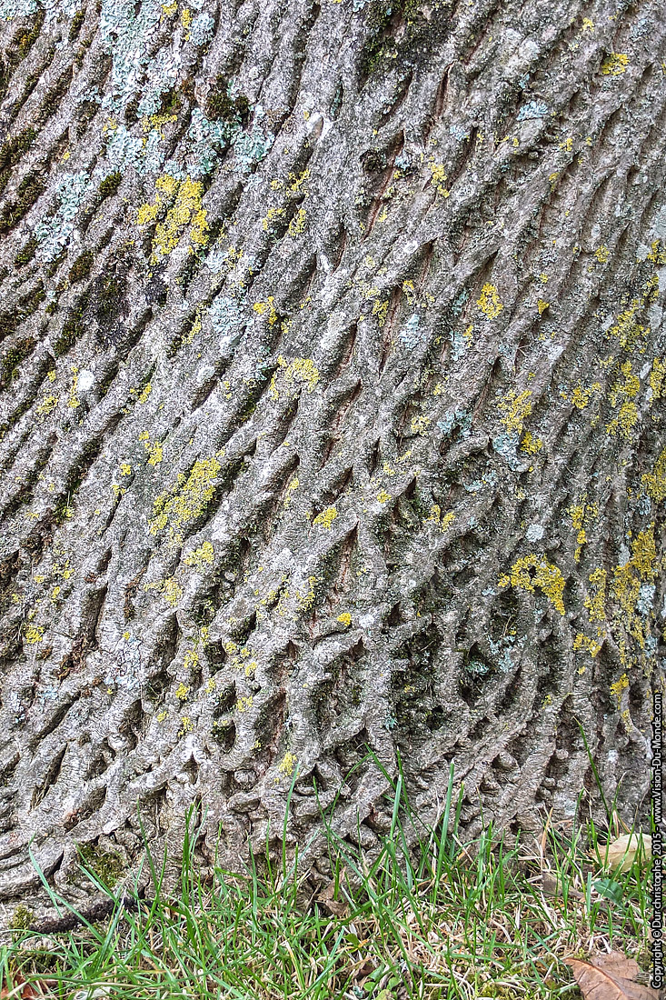 Parc Naturel Regional du Perche  - 2015