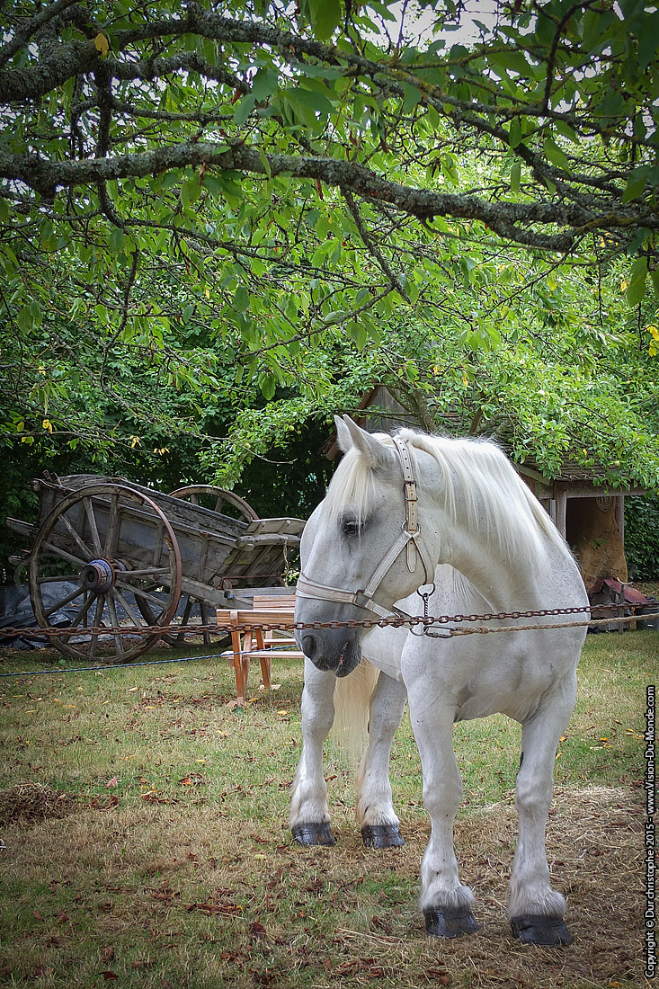Parc Naturel Regional du Perche  - 2015