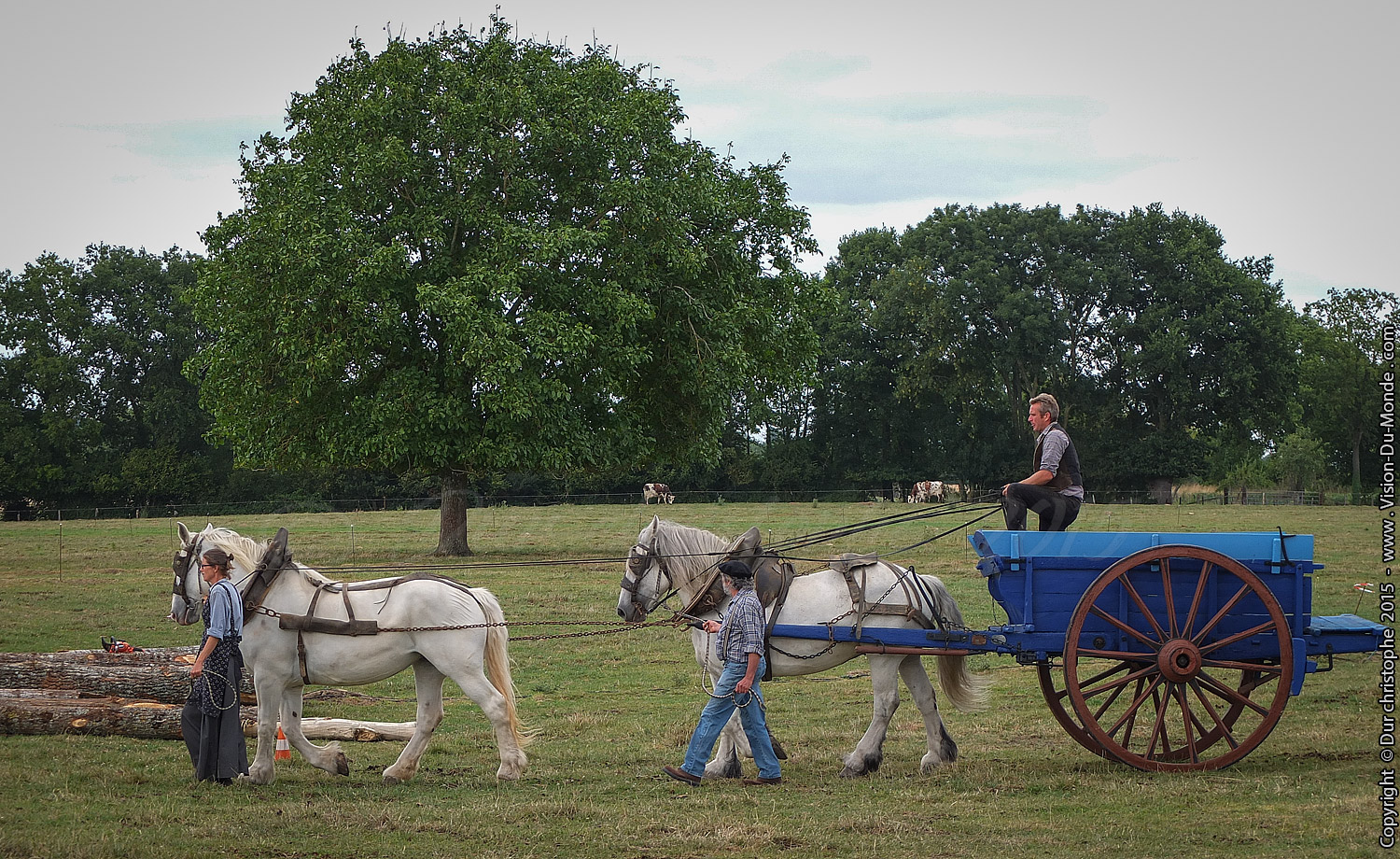 Parc Naturel Regional du Perche  - 2015