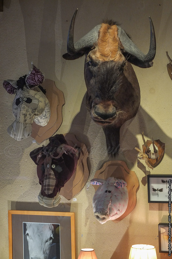 Parc Naturel Regional du Perche  - 2015