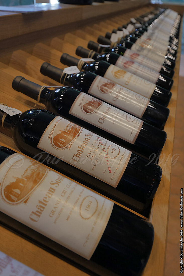 Saint Emilion - 2019