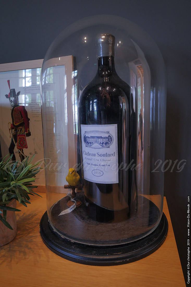 Saint Emilion - 2019