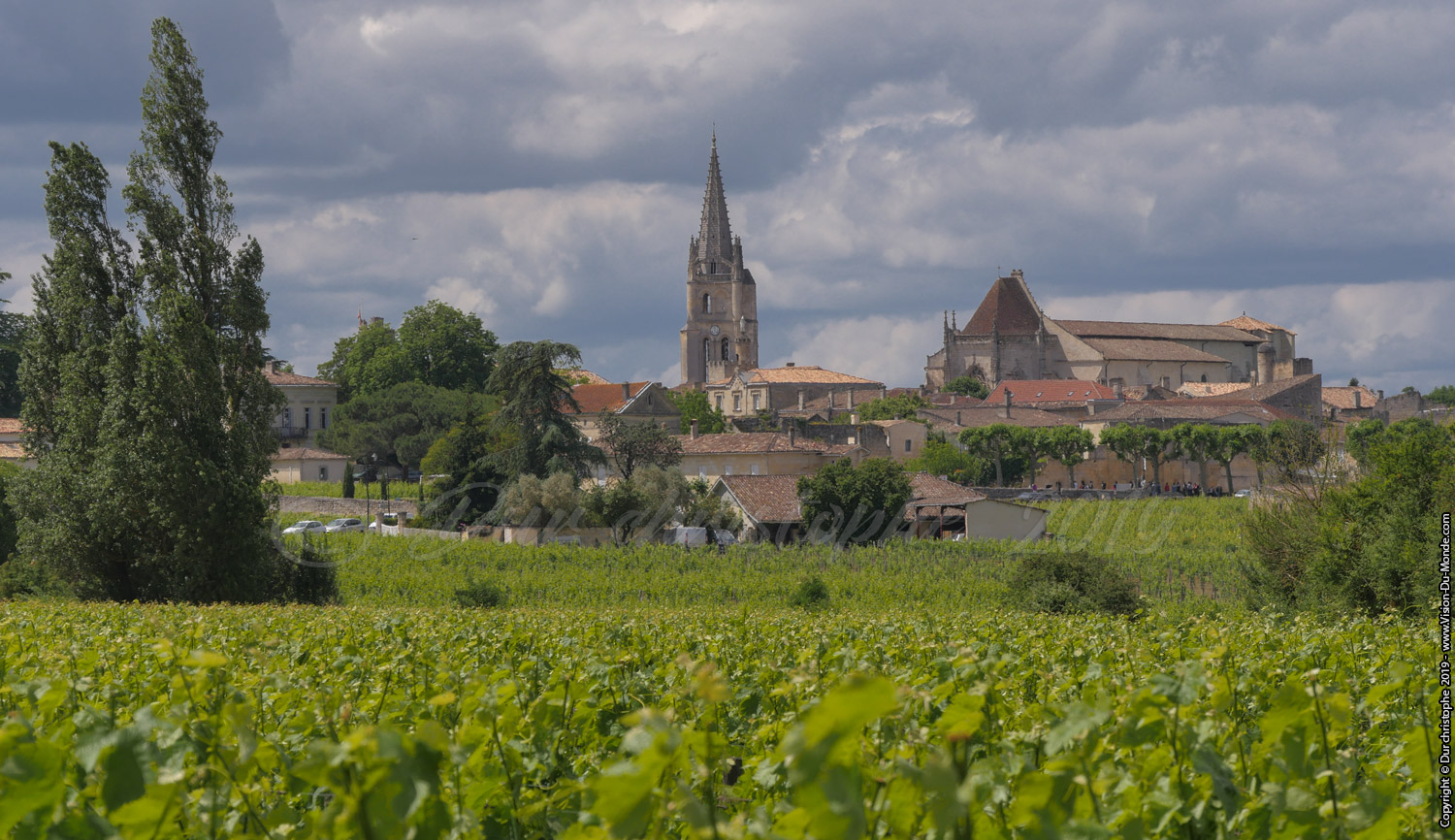 Saint Emilion - 2019