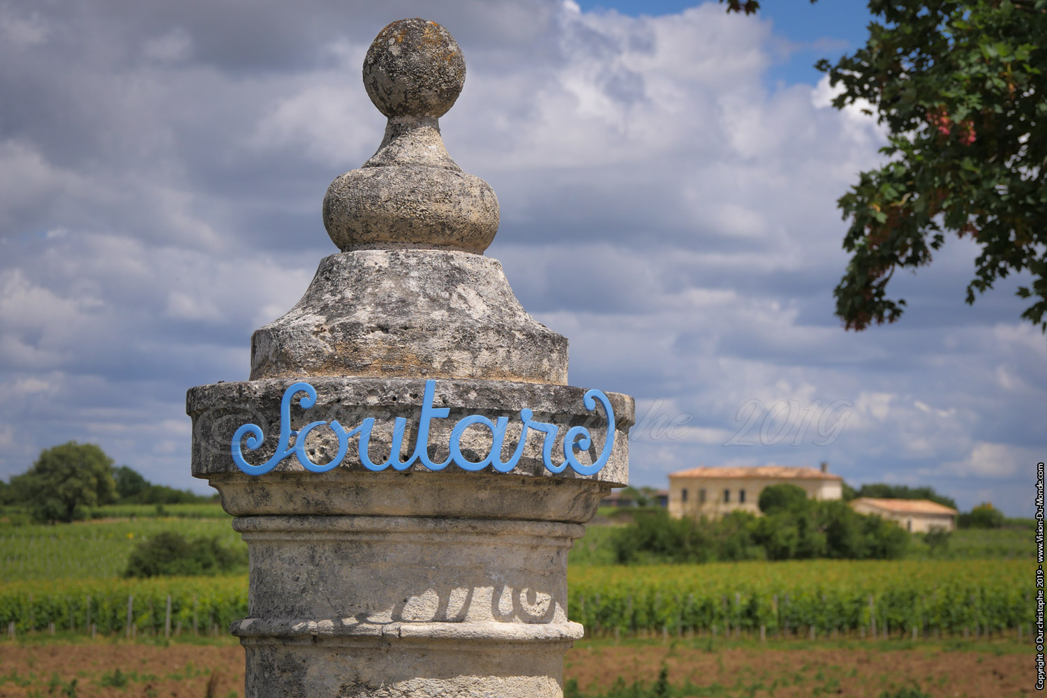 Saint Emilion - 2019