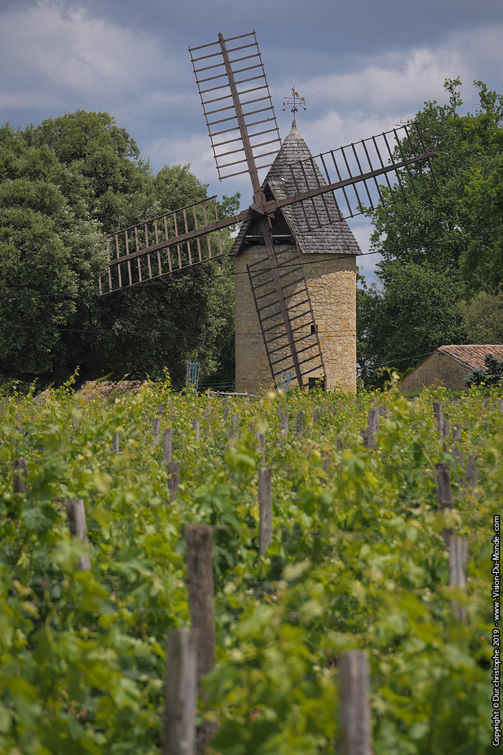 Saint Emilion - 2019