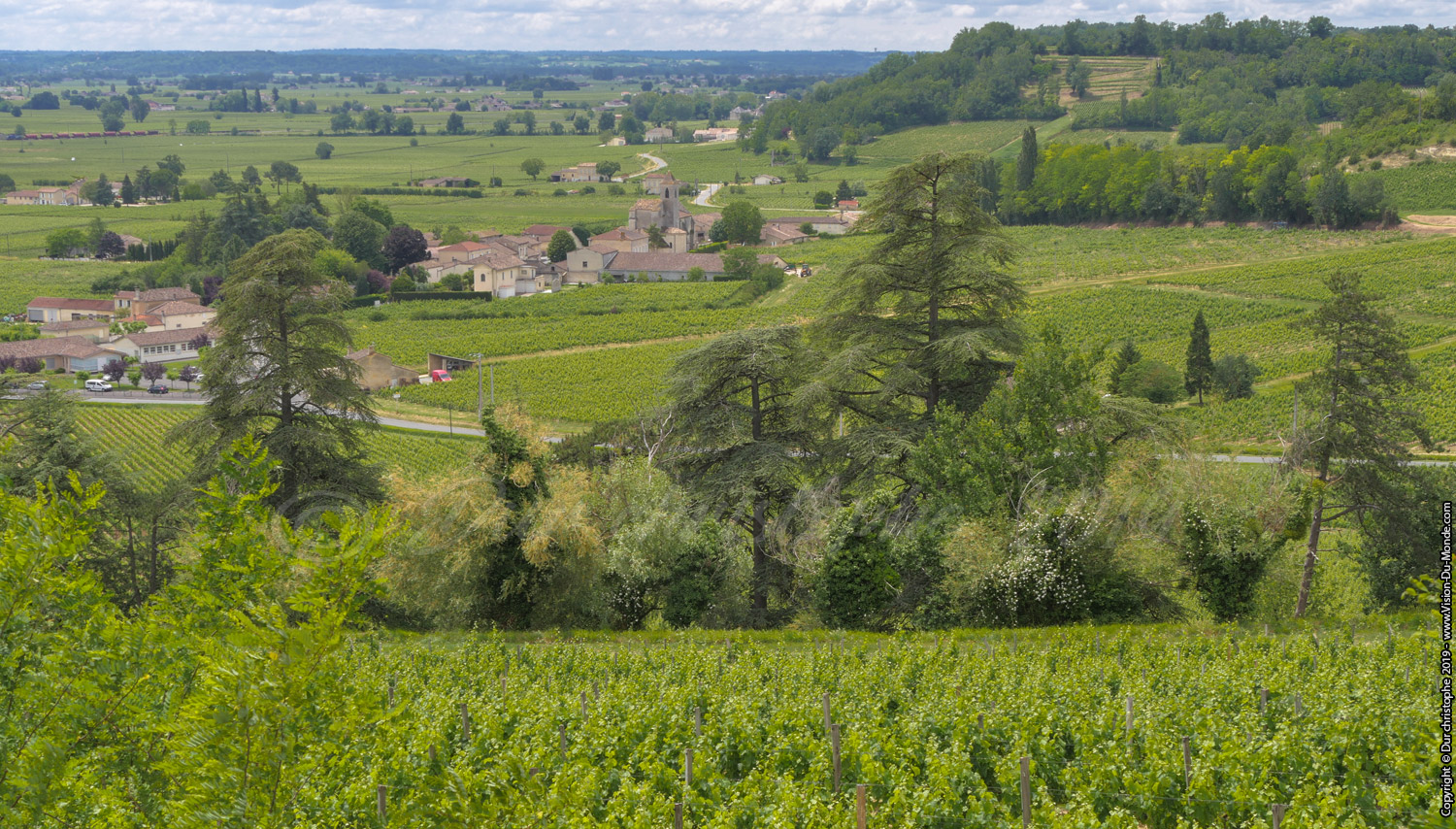 Saint Emilion - 2019