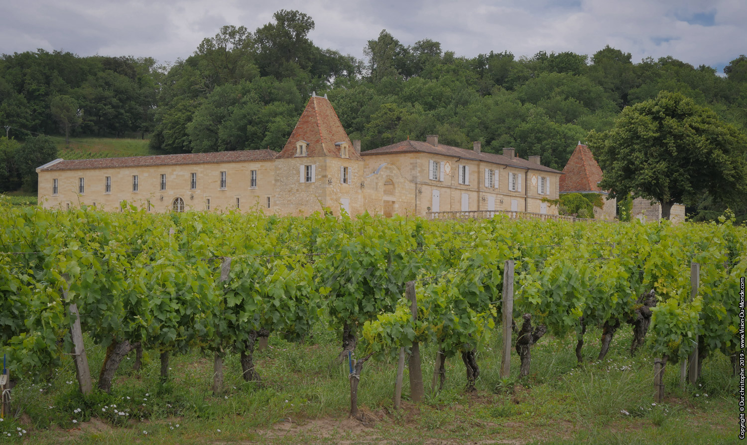 Saint Emilion - 2019
