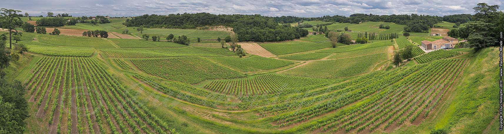 Saint Emilion - 2019