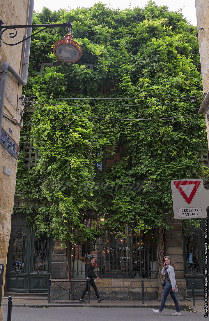 Bordeaux - 2019