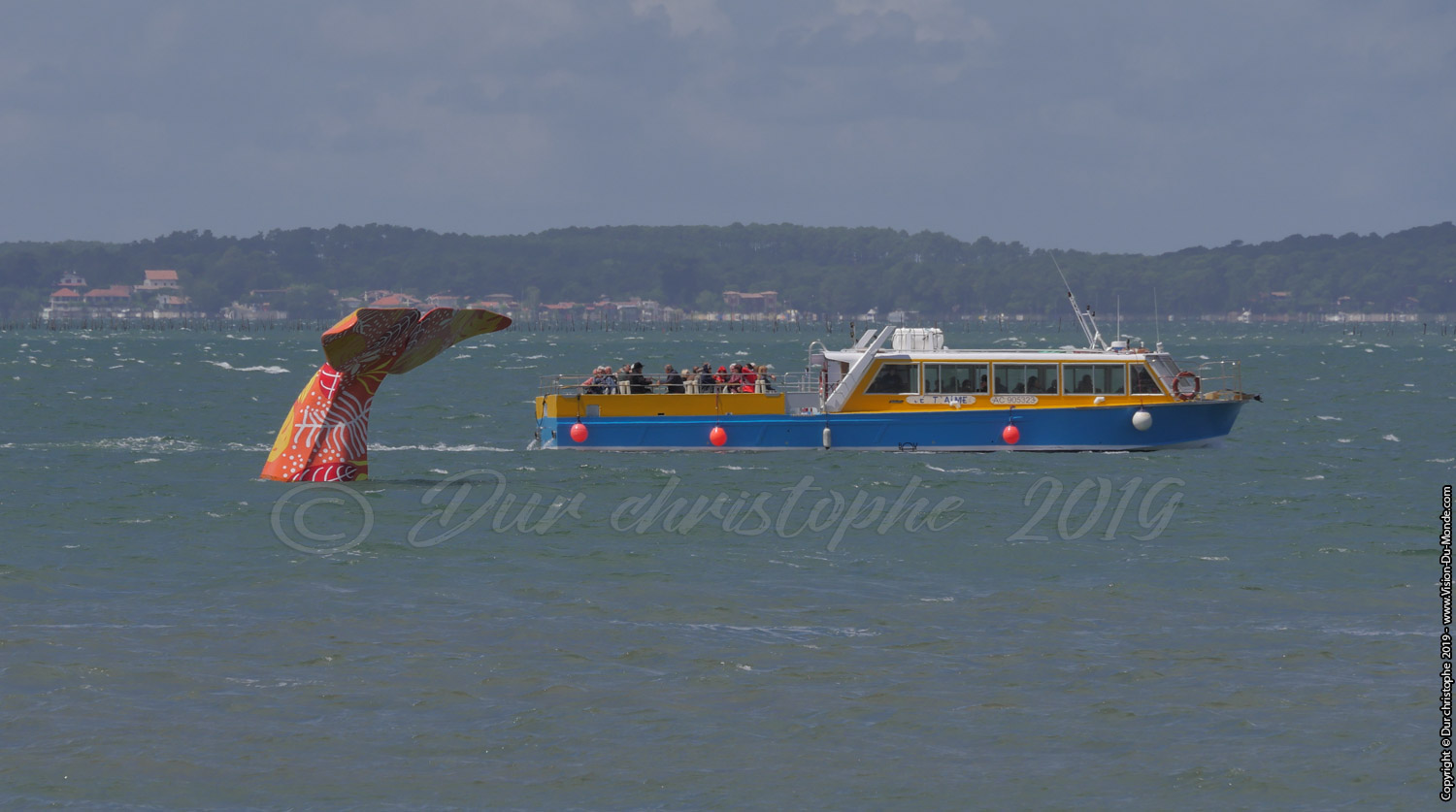 Arcachon - 2019