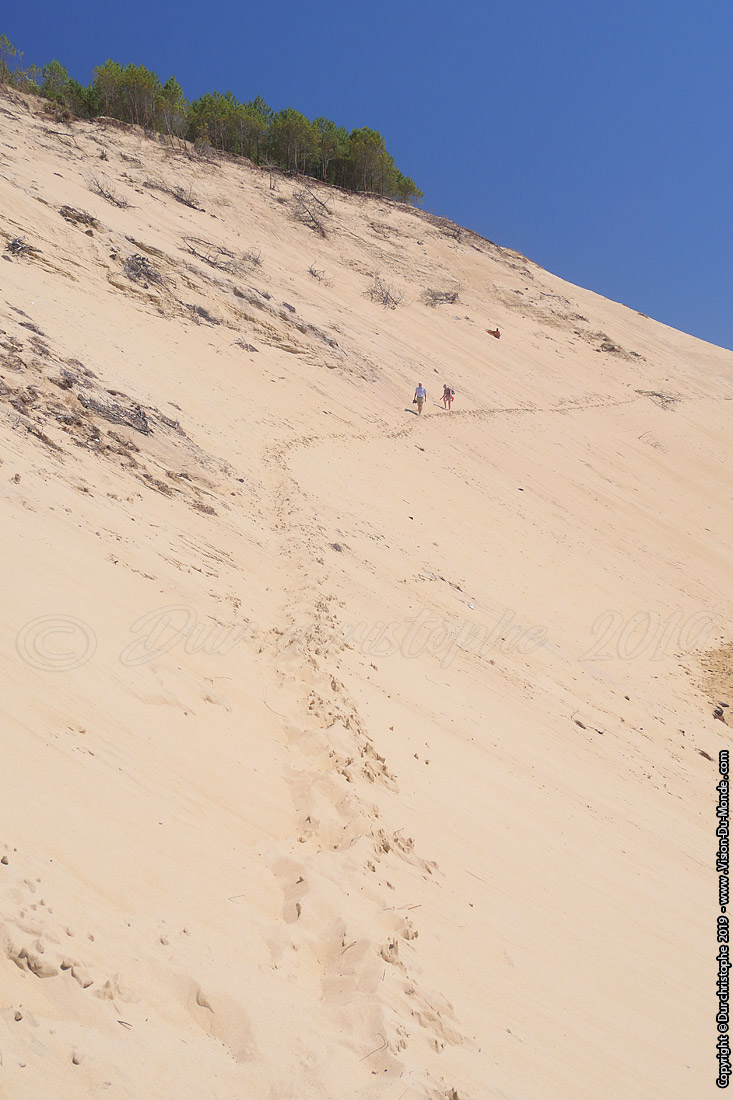 Dune de Pila - 2019