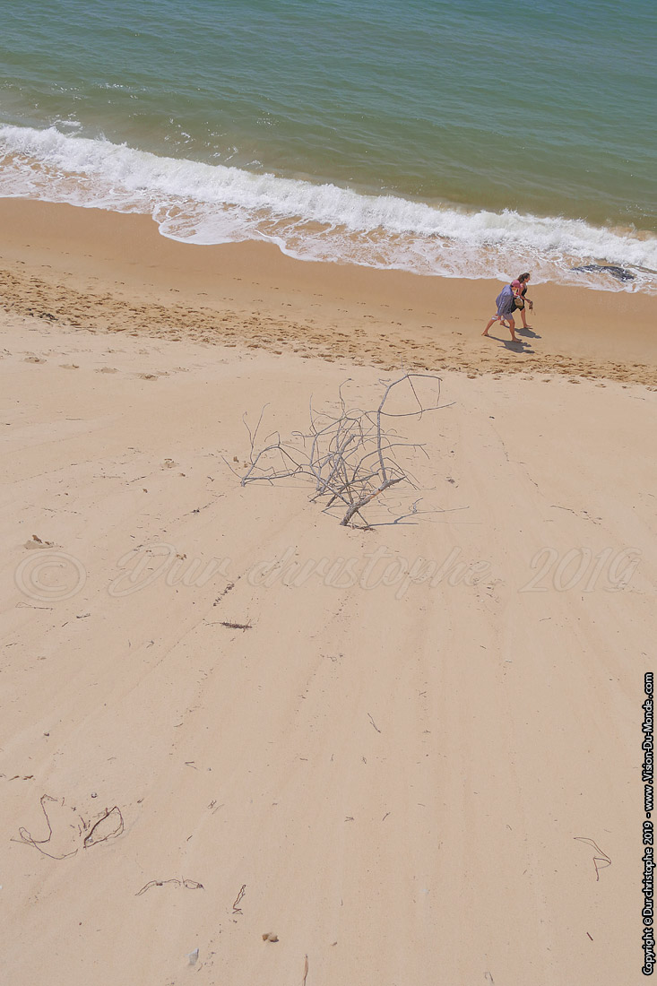 Dune de Pila - 2019