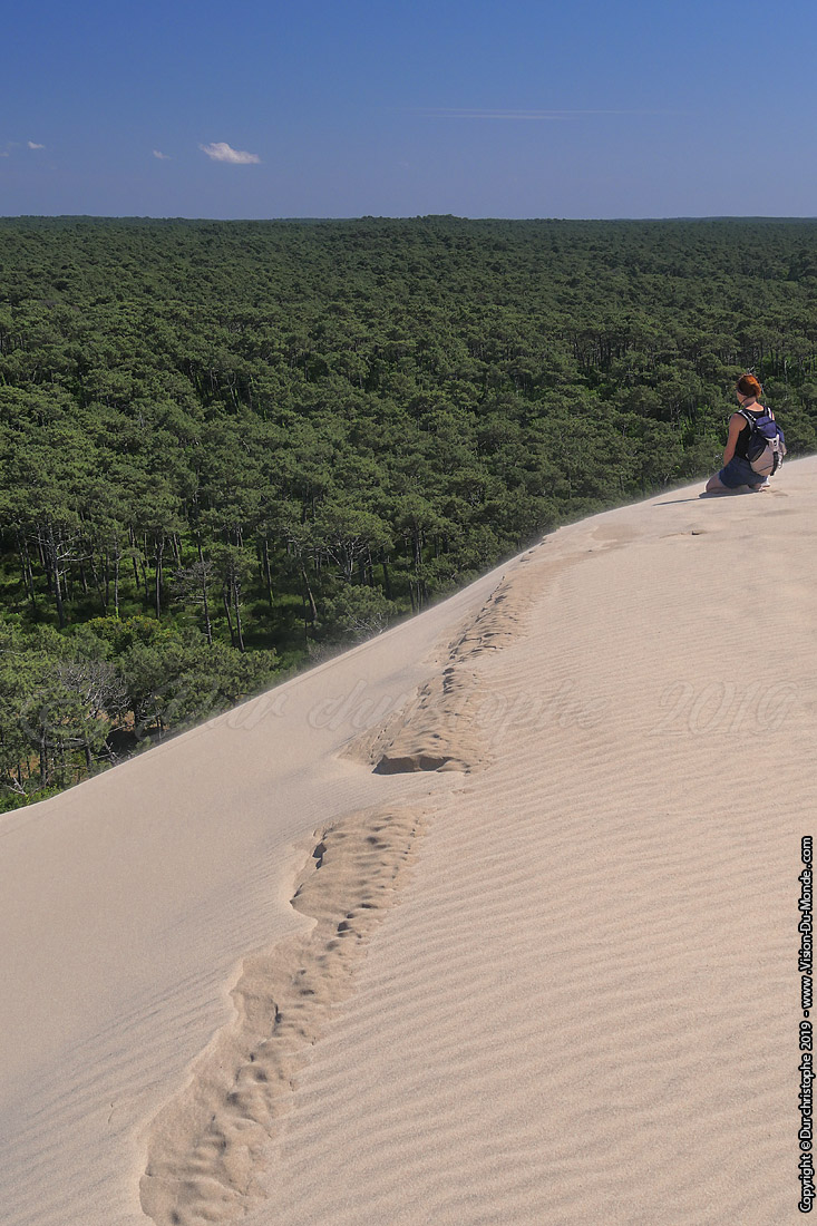 Dune de Pila - 2019