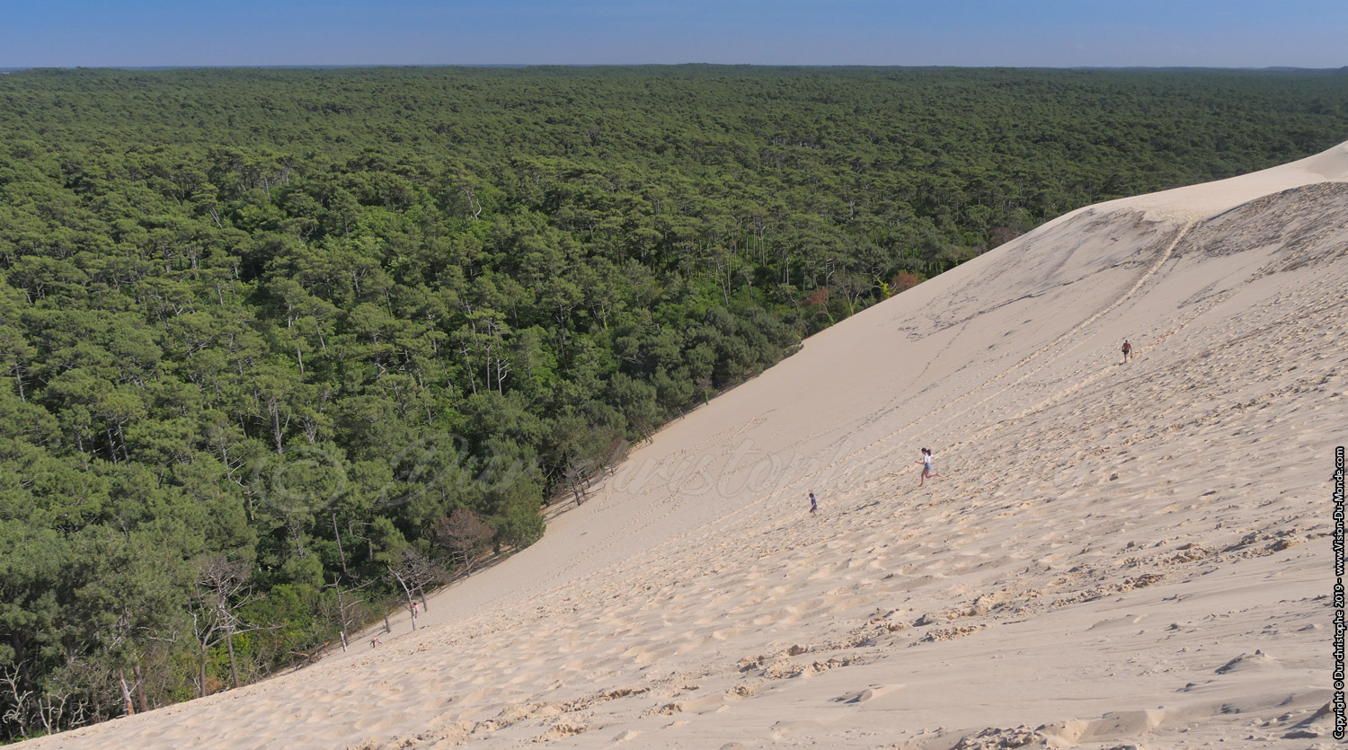 Dune de Pila - 2019
