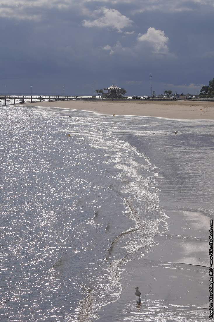 Arcachon - 2019