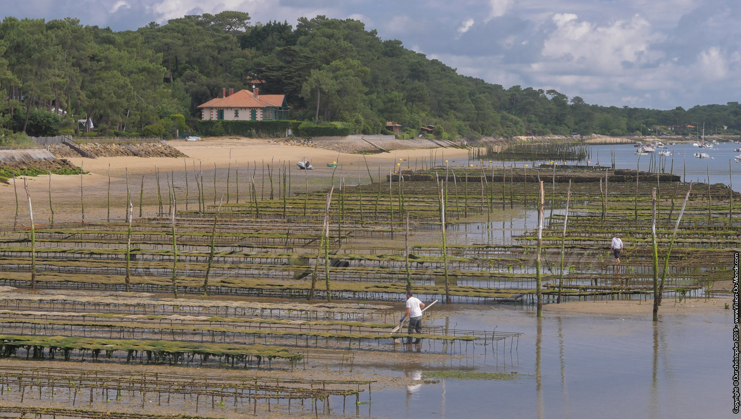 Cap Ferret - 2019